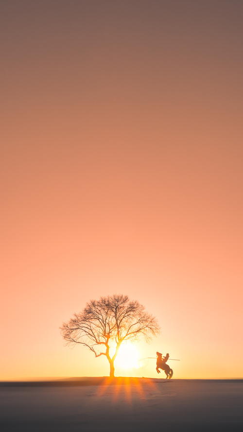 “2025世界运动会:三叉湖校区滚球赛事挑战极限精准”