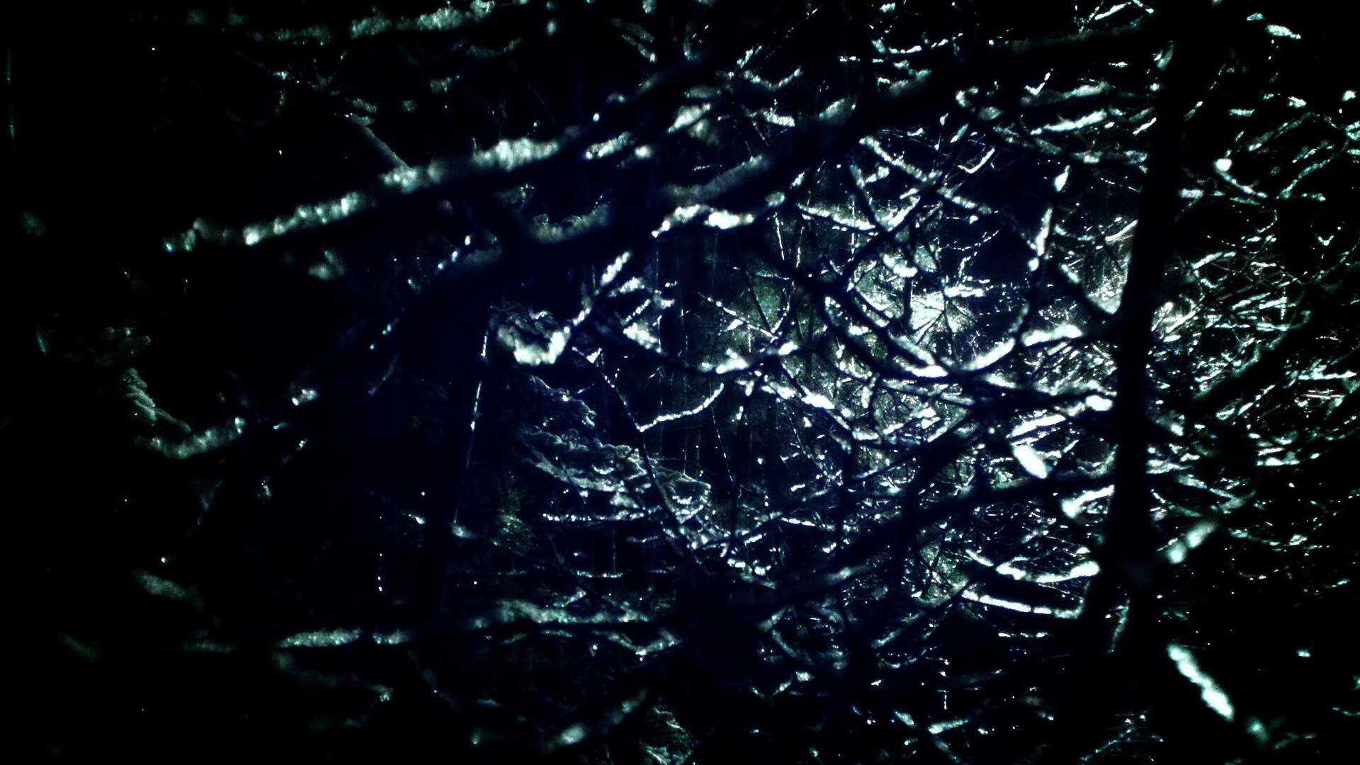 弗赖堡体能储备优秀支持高频进攻,弗赖堡位置