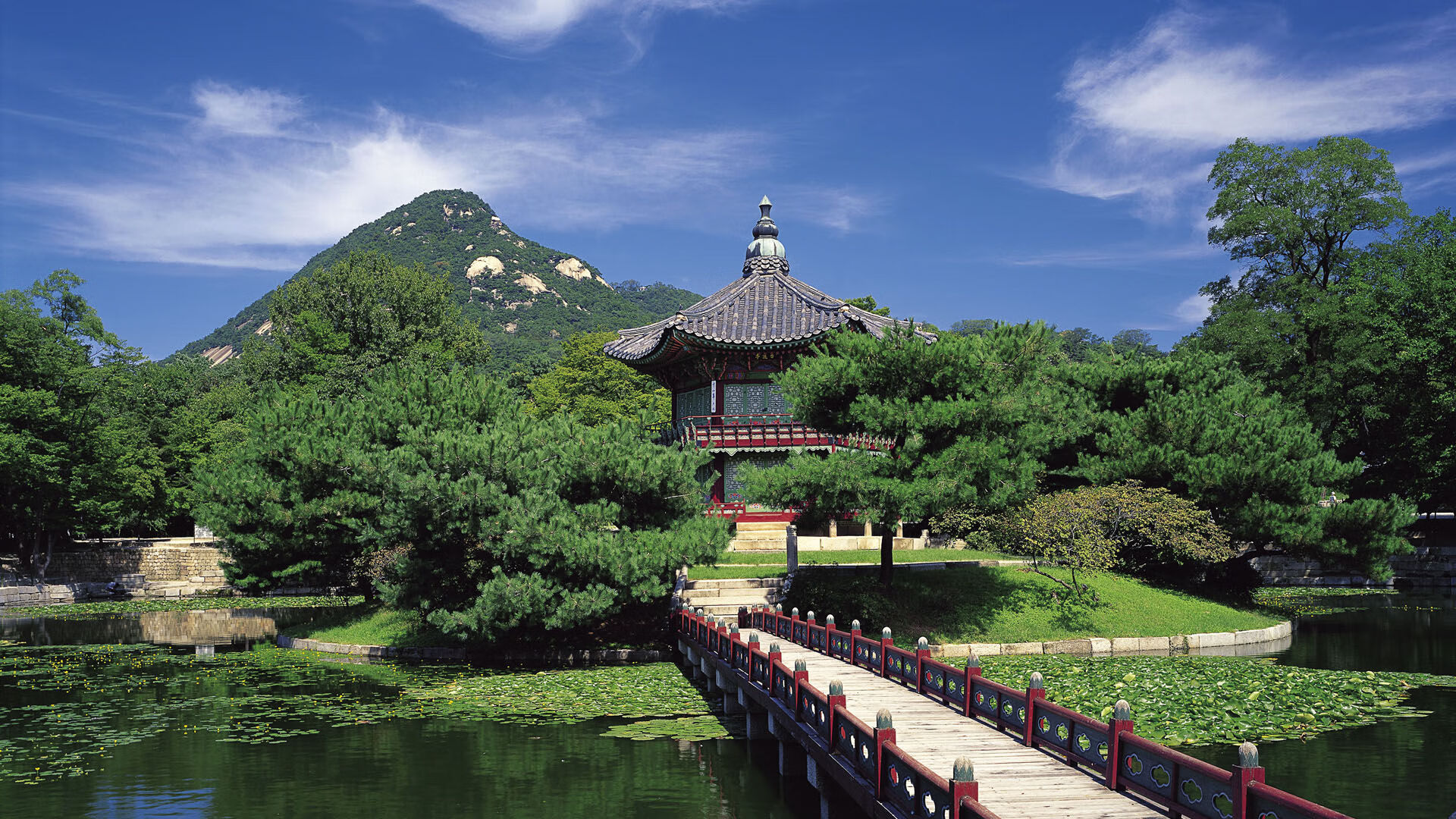 掩护质量直接影响进攻成功率,什么是掩护配合,其基本要求是什么