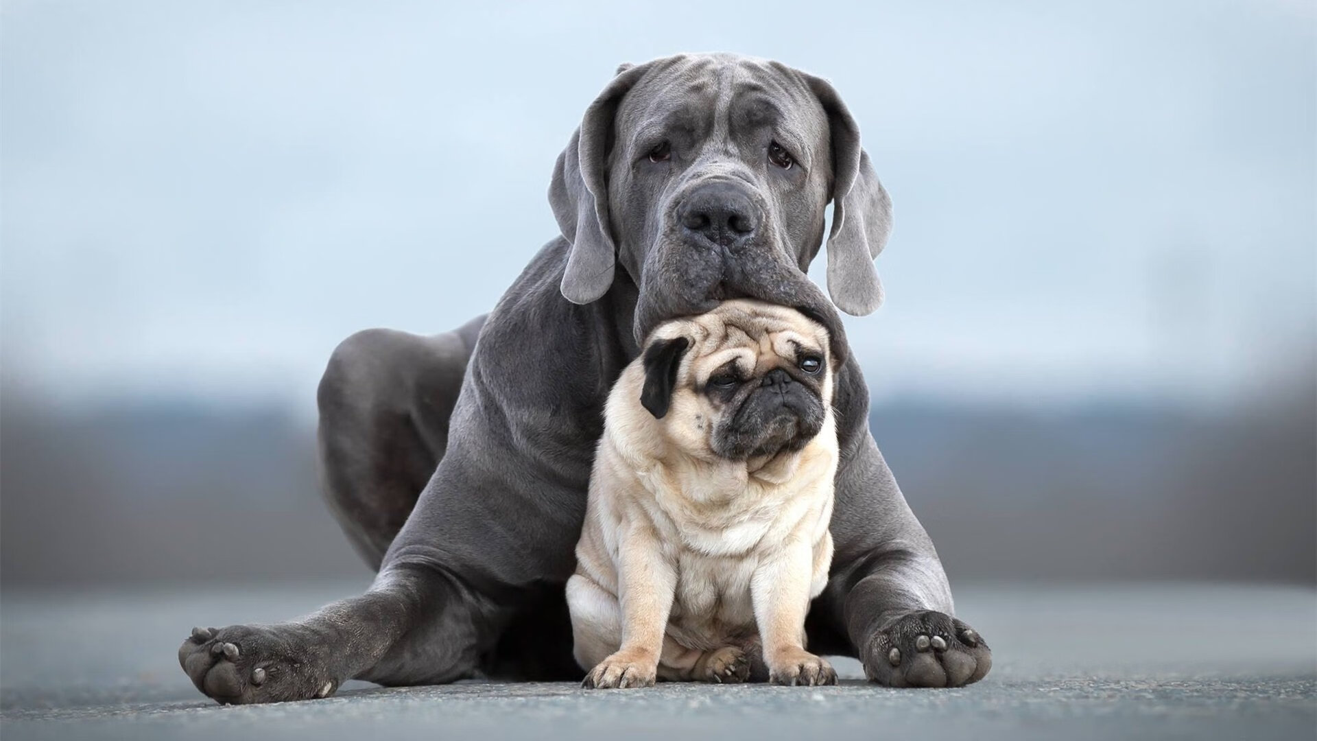 罗马尼亚队赛制优化分析：如何借助创新战术提升团队竞争力，罗马尼亚联赛冠军