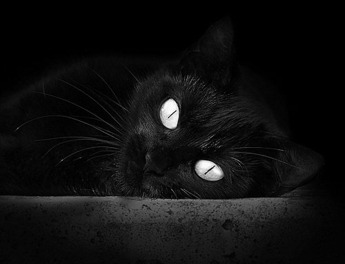 青少年赛事结构未形成体系化,青少年竞赛应回归本位