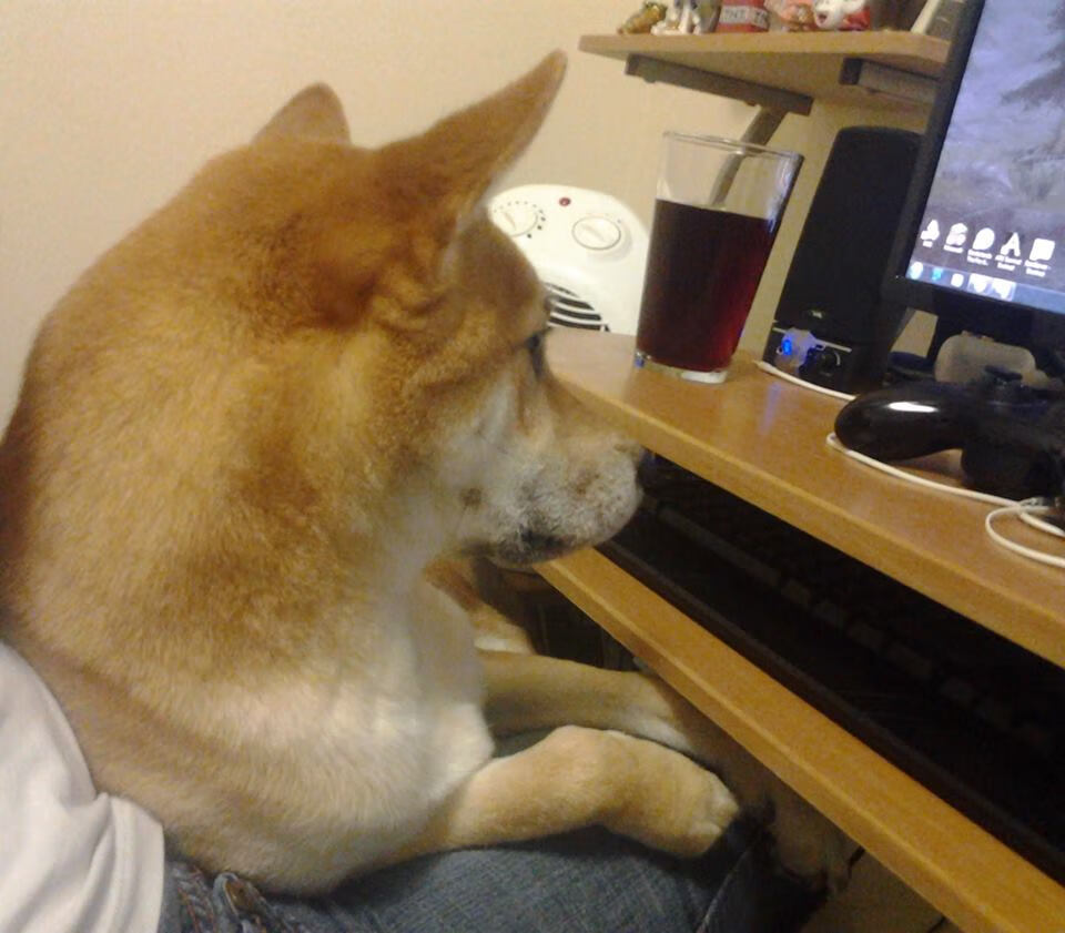 体育心理学助力运动员表现提升,运动员心理能力