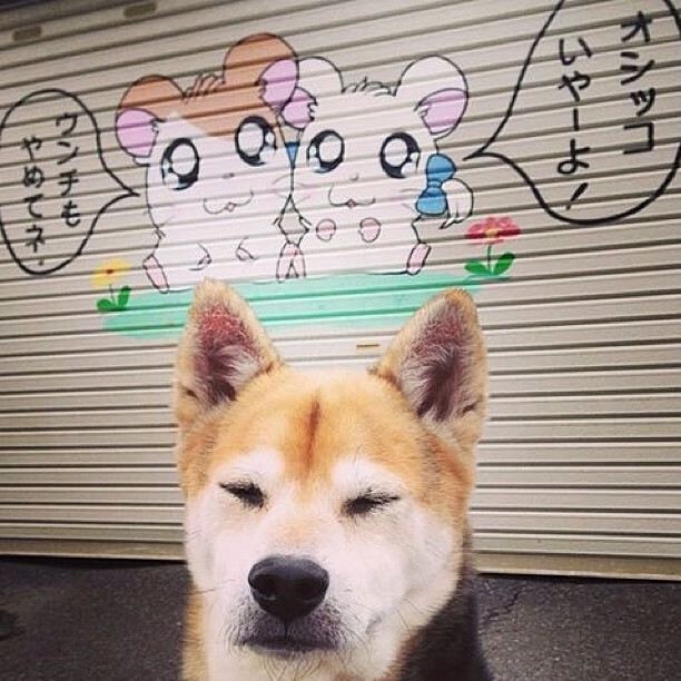 场上表现回应外界质疑,场上表现回应外界质疑的句子