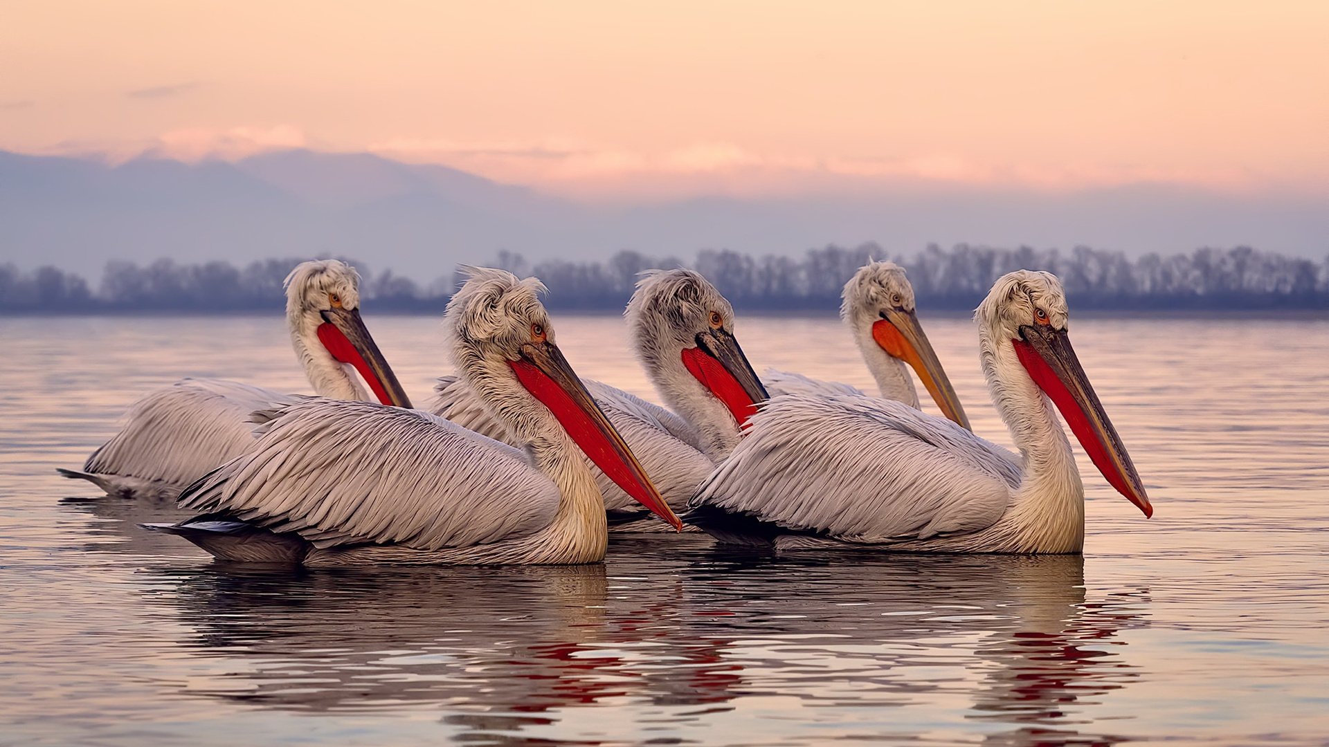 九游app下载中心-法甲青春崛起：新人新战术，新高潮！