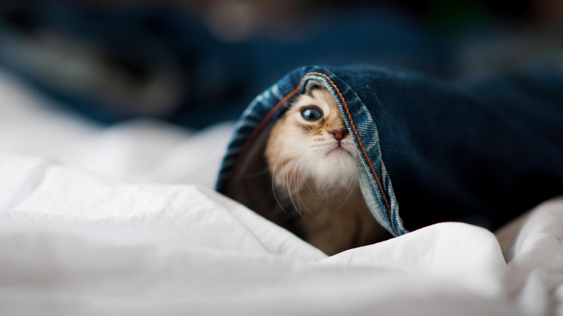 九游sports-英超冠军角逐：悬念不断，精彩无限！，0506英超冠军